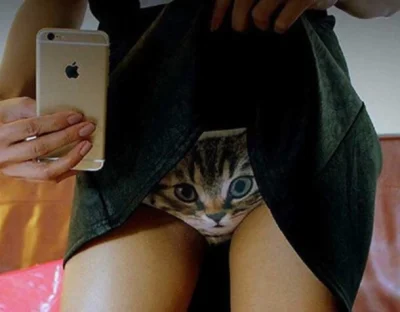 i.....a - Co mirki myślą o majtkach z pusią? #pytanie #koty #pusia