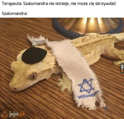 Sieniu - Ale śmiechłem xDD

#heheszki #humorobrazkowy #zydzi #szalomandra ( xD )