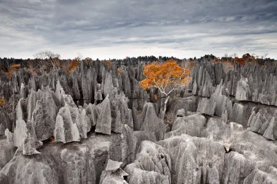 Tequila - pustkowie <3

#fotografia #earthporn #zdjecie

---> #tekilasoup