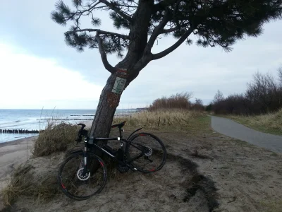 jonzi - 27 138 - 21 = 27 117

Powróciłem bo już mnie nosiło. Zupełnie nowe rejony. Bę...