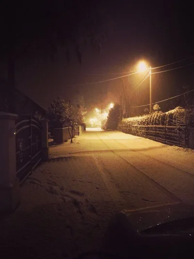 Lizusek - Japitole, ale nasypało (ʘ‿ʘ) #snieg #zima