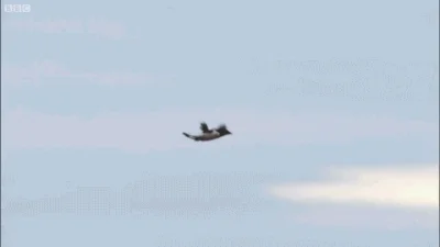 Soczysty24 - Crash Landing --Directed by Michael Bay
#viareddit #reddit #gif #hehesz...