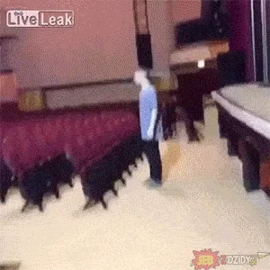 cholernik - XD 

#heheszki #gif