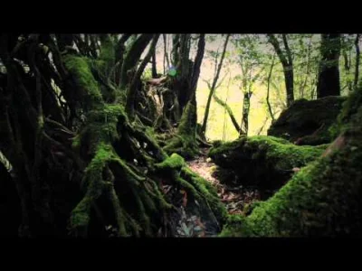 Bolns_Sesz - Witam wszystkich o poranku :) 

Sigur Rós - Dauðalogn

"Teraz siedzę...