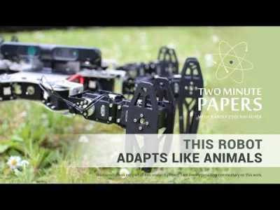 HuYuHai_Ding - This Robot Adapts Like Animals | Two Minute Papers 246
#ai #robotyka ...