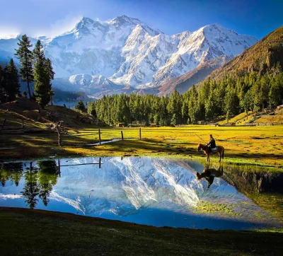 Artktur - Nanga Parbat 8126 m n.p.m. i Fairy Meadows -Czarodziejska Łąka ok. 3300 m n...