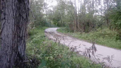 bigbadandwrong - ha ha, tego sie nie spodziewaliscie ( ͡° ͜ʖ ͡°)
#e36