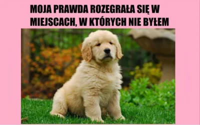 siema_czesc