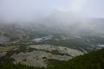 mlodyfubu - Tak było w niedzielę #tatry #gory