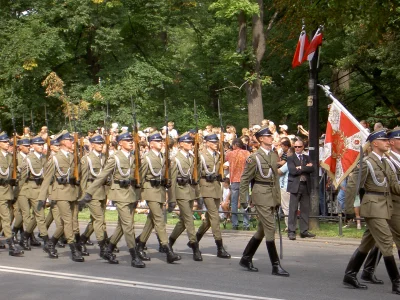 Liesbaum - @Martwiak: Ale batalion reprezentacyjny miał SKS nie mosiny w wersji karab...