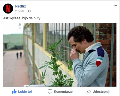 kabzior - O jakie to jest dobre :)
#netflix #narcos #raczkowski