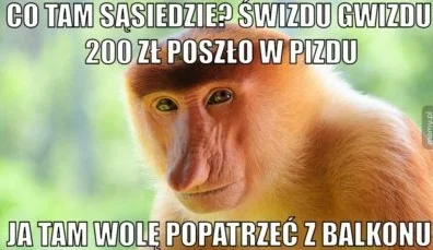 wlepierwot - #polak #nosaczsundajski #gownowpis #heheszki #humorobrazkowy #sylwester