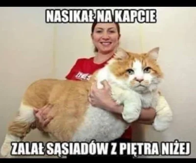 greg1970 - #heheszki #humorobrazkowy