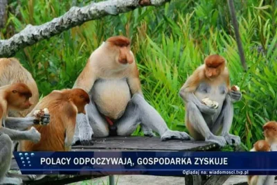 starface - Udanej majówki Mirasy ( ͡° ͜ʖ ͡°)

#polak #heheszki #tvpis