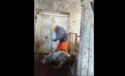 Viptnt - @fakemma2: wyciekły zdjęcia z egzekucji ( ͡° ͜ʖ ͡°)