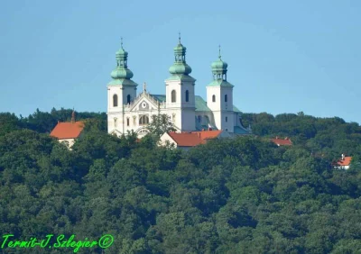 Zapaczony - Kościół Wniebowzięcia Najświętszej Maryi Panny w Krakowie