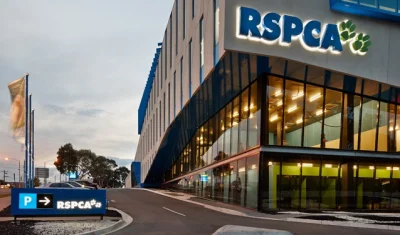 johanlaidoner - @johanlaidoner: RSPCA Australia. ("R" jest od "Royal"- Australia podl...