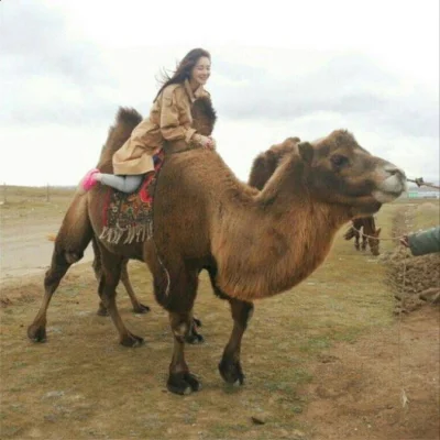 SergeantMattBaker - Dziewczyny chyba dobrze się w tej Mongolii bawiły xD



#minkyung...