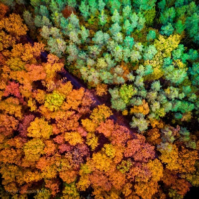 Hinol - Piękna ta jesień.

#estetyczneobrazki #earthporn #las #drony