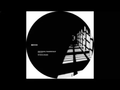 BelleDeJour - Mniami 

Re:Axis - Protoportal [PRRUK102]
#mirkoelektronika #techno