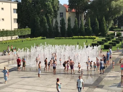 wegorz - Nowoczesne kompieliska w miastach, przykład Rzeszów