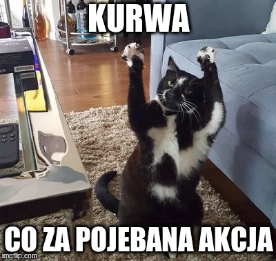 Bielecki - @zdjeciezwenszem: