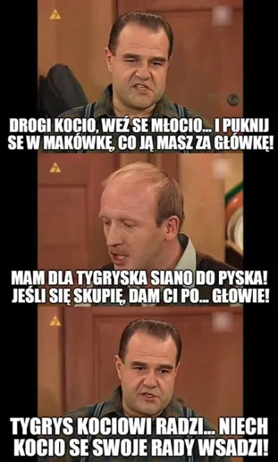 kopek - #krawczyk #norek #polskieseriale #miodowelata #heheszki