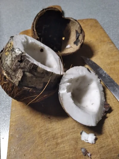 szczekacz666 - Pierwszy raz "ogarniam" kokosa, powiedźcie czy normalnie tak ma wygląd...
