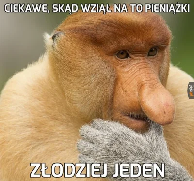 Kaloryfere - @Goodie_pl: Bo sąsiad z piwnicy kupił, a ja nie mogę być gorszy ( ͡° ͜ʖ ...