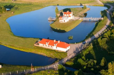 DonLino - Mirabelki i Mirki! Poszukuje domu/willi/pałacu/zamku bądź po prostu dużego ...