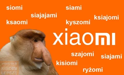 Borki - ryżomi xD
#xiaomi #ryzomi #siajami #ksiajomi #siomi #polak #humorobrazkowy