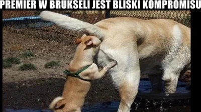 s.....r - #premier #tusk #bruksela