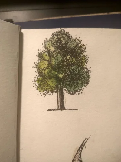 LactucaSativa - Drzewa są fajne

SPOILER
#rysujzwykopem #rysunek