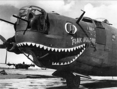 N.....h - Consolidated B-24 Liberator "Flak Magnet" na Tinian.
1944 r.

#zdjeciazw...