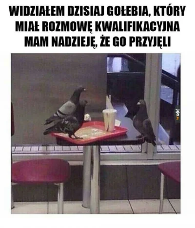 FHA96 - #heheszki #humorobrazkowy #pracbaza