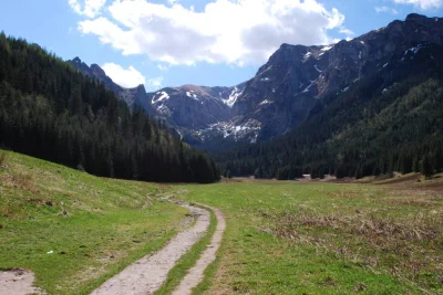 n.....e - Już za niecałe 3 tygodnie Tatry, będę januszem gór ( ͡° ͜ʖ ͡°) jaram się, b...