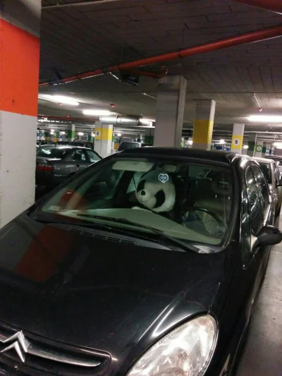 LuckyKillah - a Ty kogo wozisz na przednim w xsarze? 

#carspotting #pandaspotting #h...