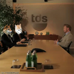 Spook - Niedługo wszystkie media o nas usłyszą.



SPOILER
SPOILER


#kryptowaluty #d...