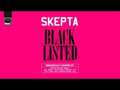 MondryPajonk - #codziennyskepta
60/365
Skepta - Blacklisted - Track 12