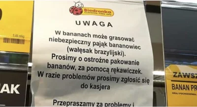 Paula_pi - @MondryPajonk: idziesz grasować w bananach?