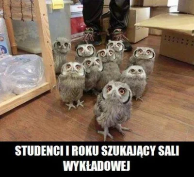 balatka - #heheszki #studbaza #bekazestudbazy #humorobrazkowy #smiesznypiesek

już ...