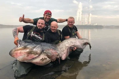 dolarstach - Patrząc na ten kombinat,, który jest w drugim planie to nie ma co się dz...