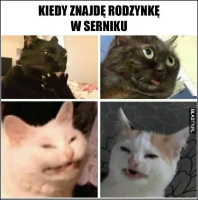 PanKara - Nigdy nie bylo ( ͡° ͜ʖ ͡°) 
#heheszki #smiesznekotki #sernik #rodzynkiwsern...