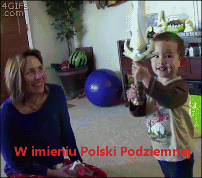 swiatek222 - #heheszki #polskawalczaca #kolaborant #przemocdomowa #gif