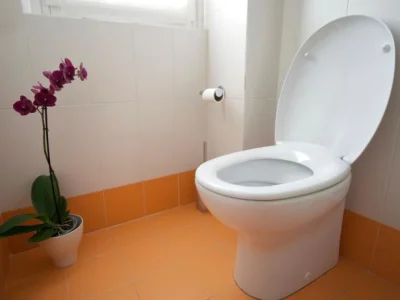pajeet - beautiful and clean india toilet