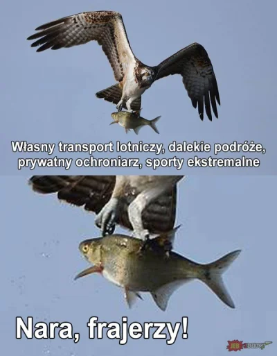 herejon - #humorobrazkowy #heheszki

Powodzenia panie rybo!
