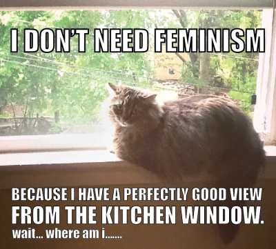 JaTubagno - CONFUSED CATS AGAINST FEMINISM ᶘᵒᴥᵒᶅ



#koty #feminizm