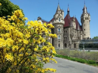 k.....k - Polecam zwiedzanie zamku w maju, gdy wokół zamku zakwitną azalie ( ͡º ͜ʖ͡º)