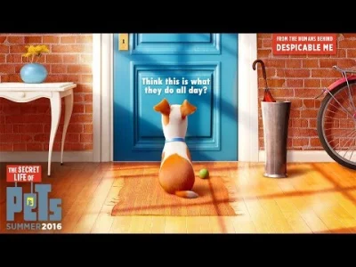 Gorion103 - Secret Life of Pets - zwiastun
 Pierwszy zwiastun filmu pt. Secret Life o...