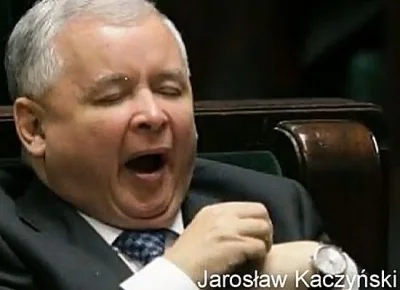 Adaslaw - Obudzony, ale jakim kosztem.

#bekazpisu #jaroslawkaczykaczynski